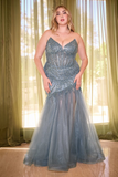 Plus Size Gown by Ladivine CD0214C
