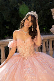 3D Floral Off-Shoulder Quince Gown by Bella Princess Couture PQ1064
