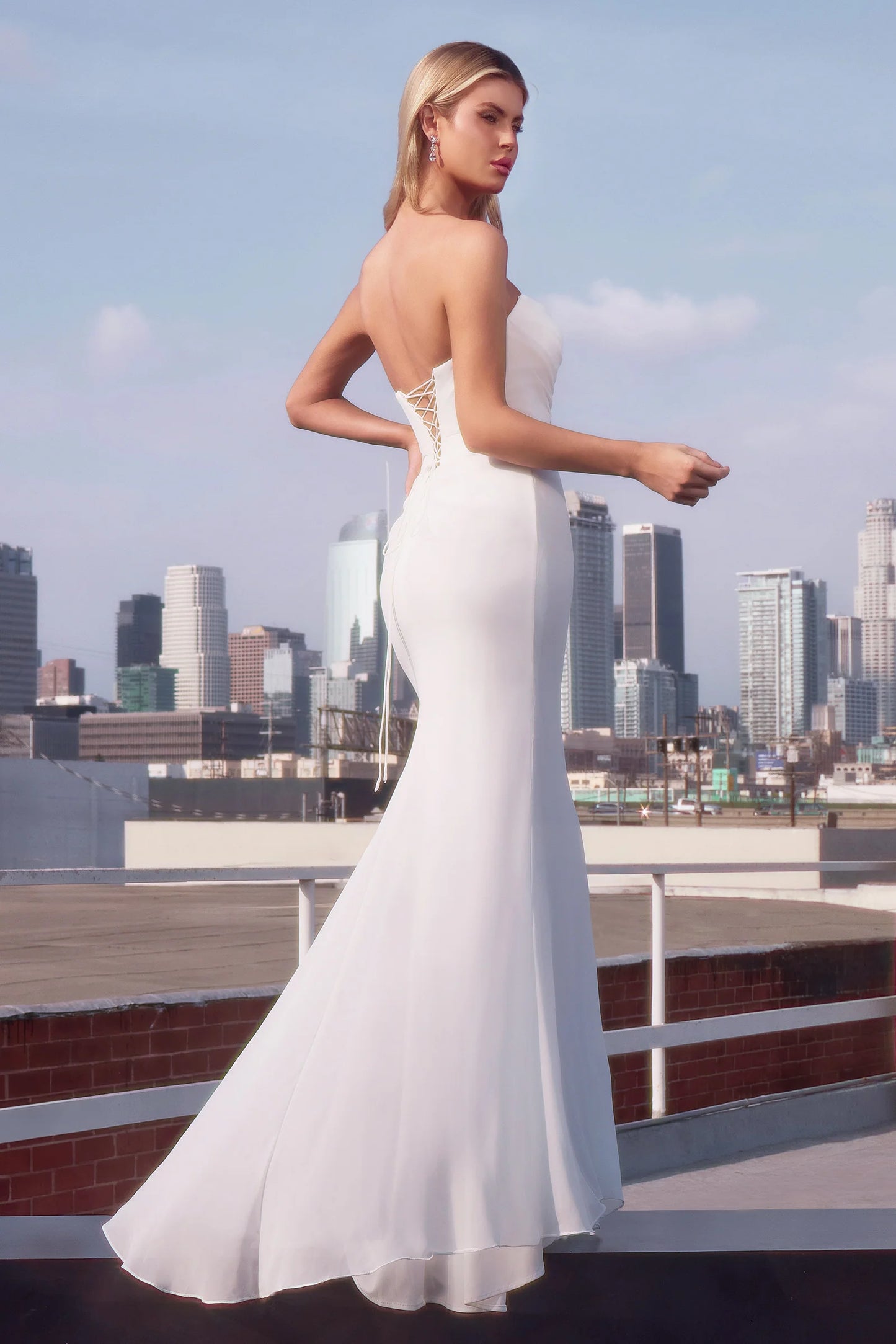 Wedding Dress by Ladivine 7434W
