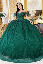 Woman wearing a green ball gown in an elegant interior setting .Cinderella Couture 8120J