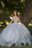 Platinum Sweetheart Quinceañera Gown by Bella Princess Couture PQ1077