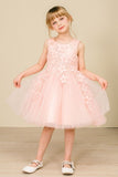 Lace Bodice Tulle Kids Dress by Cinderella Couture 9040 Red | www.snkdress.com