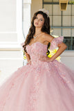 Sweetheart 3D Floral Glitter Quince Dress by Bella Princess Couture PQ1026