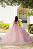 Sweetheart 3D Floral Glitter Quince Dress by Bella Princess Couture PQ1026