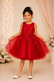 Lace Bodice Tulle Kids Dress by Cinderella Couture 9040