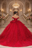 Quinceanera Dress by Queen Collection 5108387