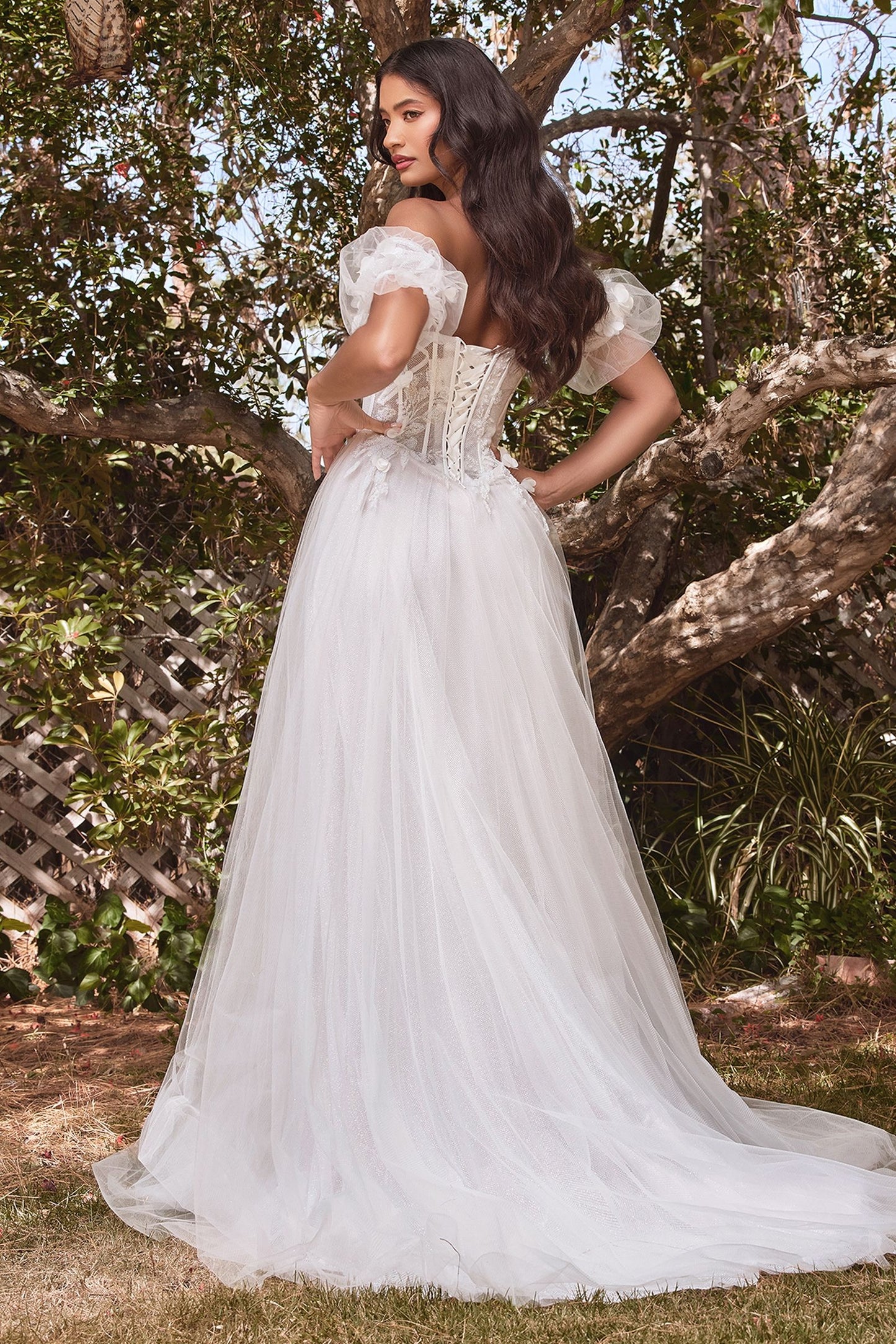 Wedding Dress by Ladivine CB080W