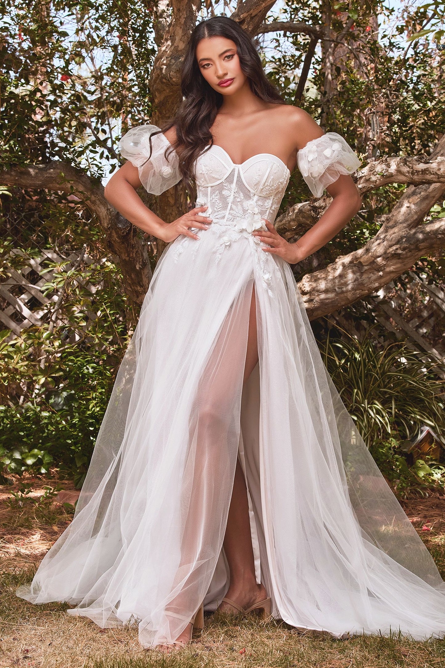 Wedding Dress by Ladivine CB080W