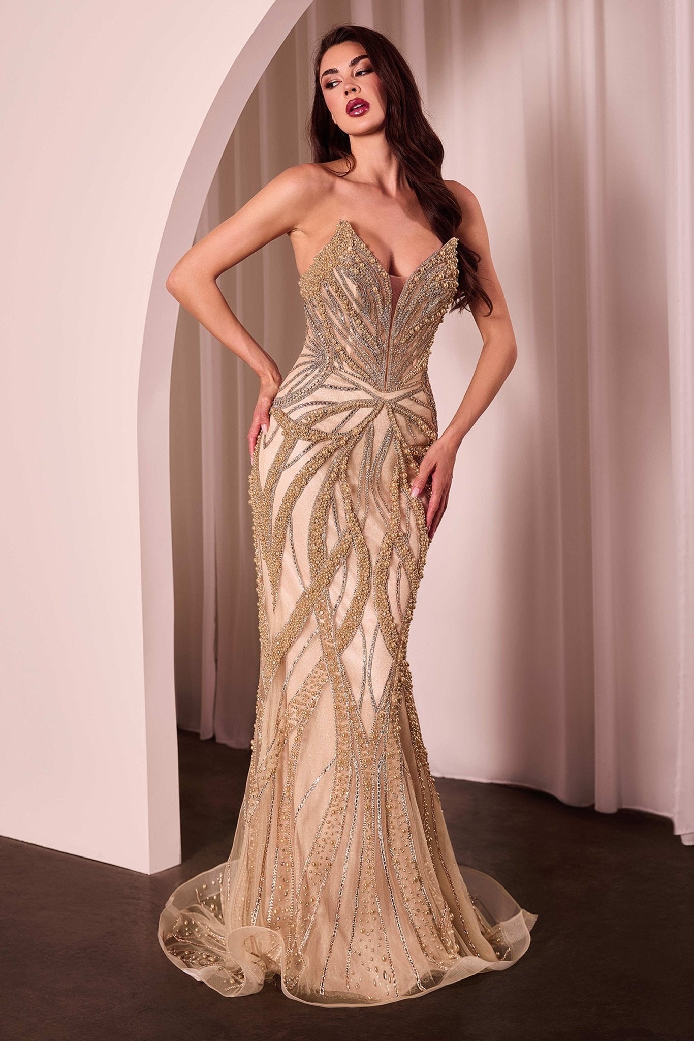 Formal Gown by Ladivine CC0688