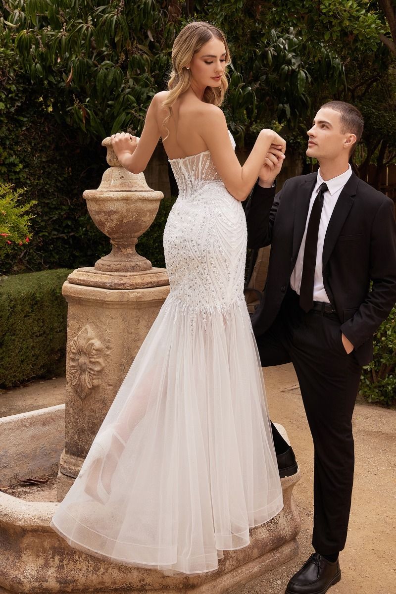 Wedding Dress by Ladivine CD0215W