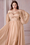 Plus size iridescent chiffon long sleeve gown CD243C – www.snkdress.com.Long Sleeve Iridescent Chiffon A-Line Gown by Ladivine CD243C