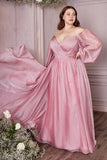 Plus Size Gown by Ladivine CD243C
