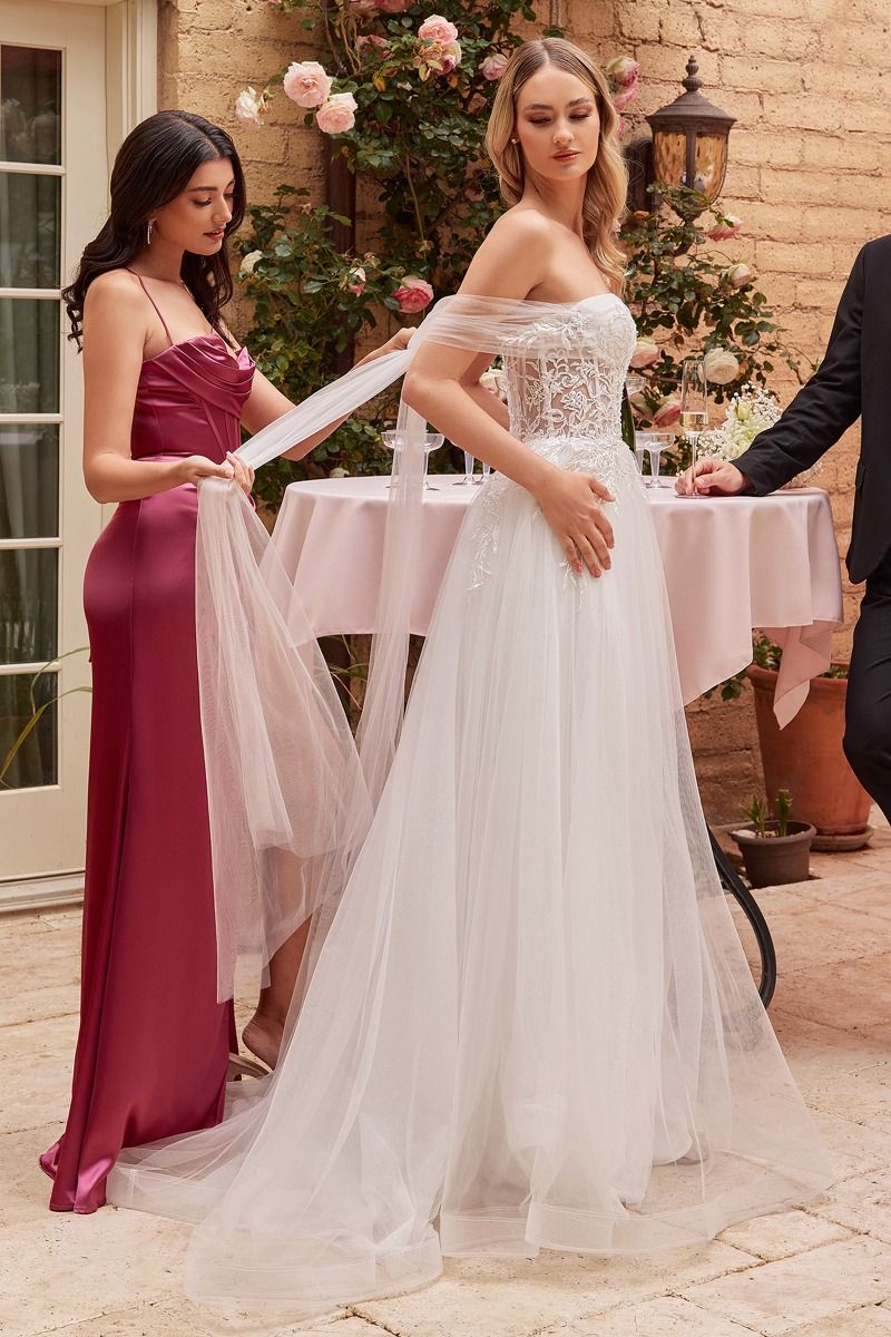 Wedding Dress by Ladivine CD827W