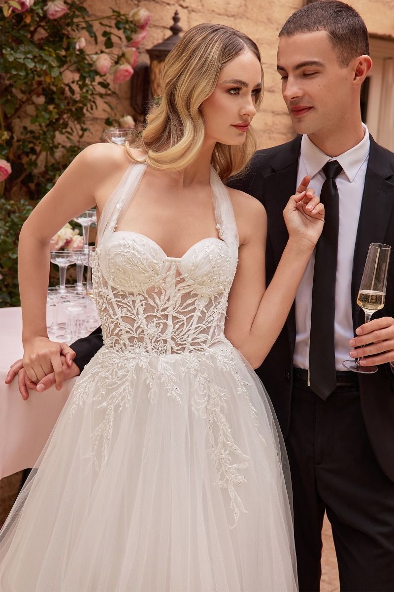 Wedding Dress by Ladivine CD827W
