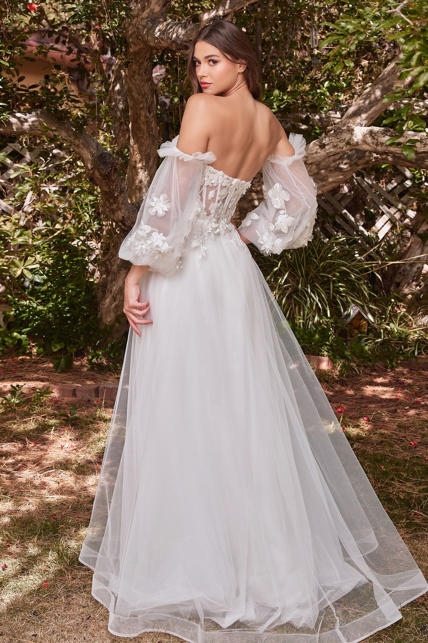Wedding Dress by Ladivine CD962W