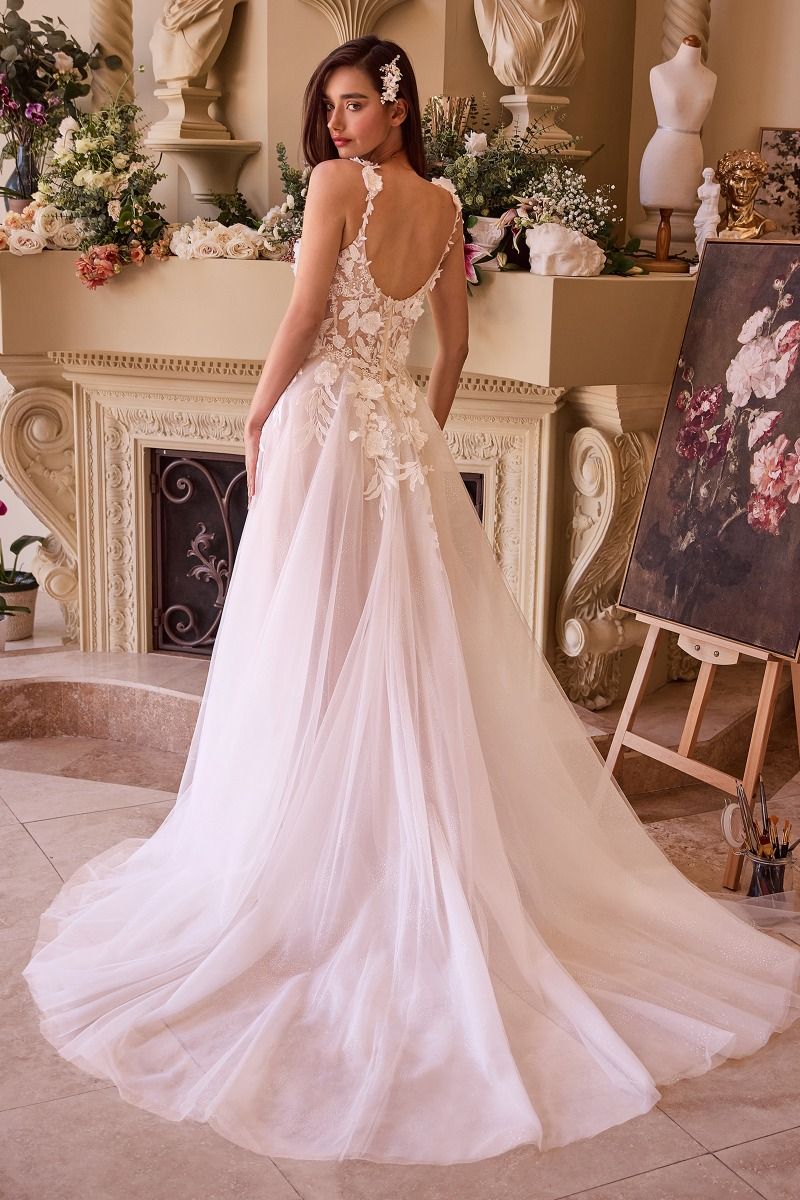 Wedding Dress by Ladivine CDS498W