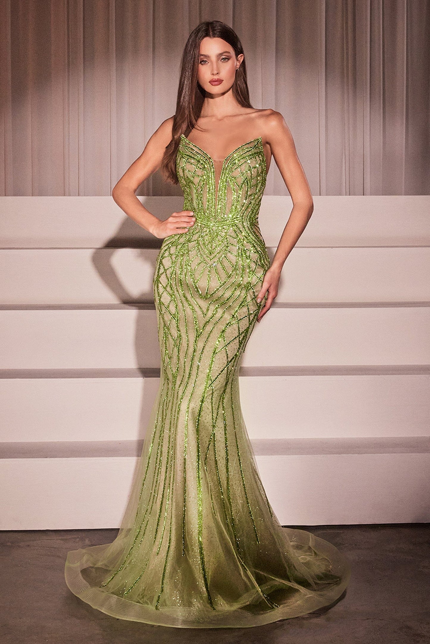 Formal Gown by Ladivine CC6018