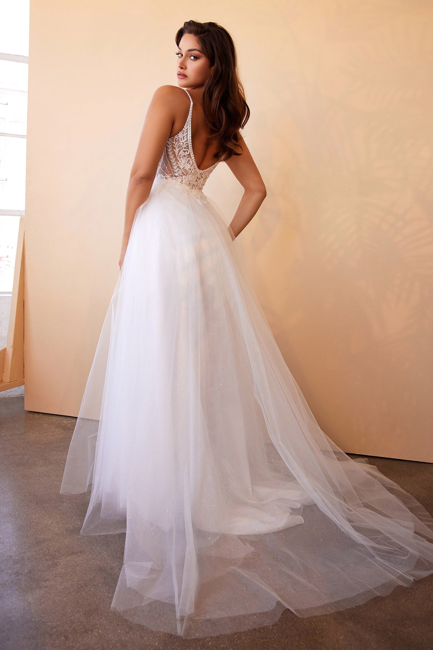 Wedding Dress by Ladivine CD0195W