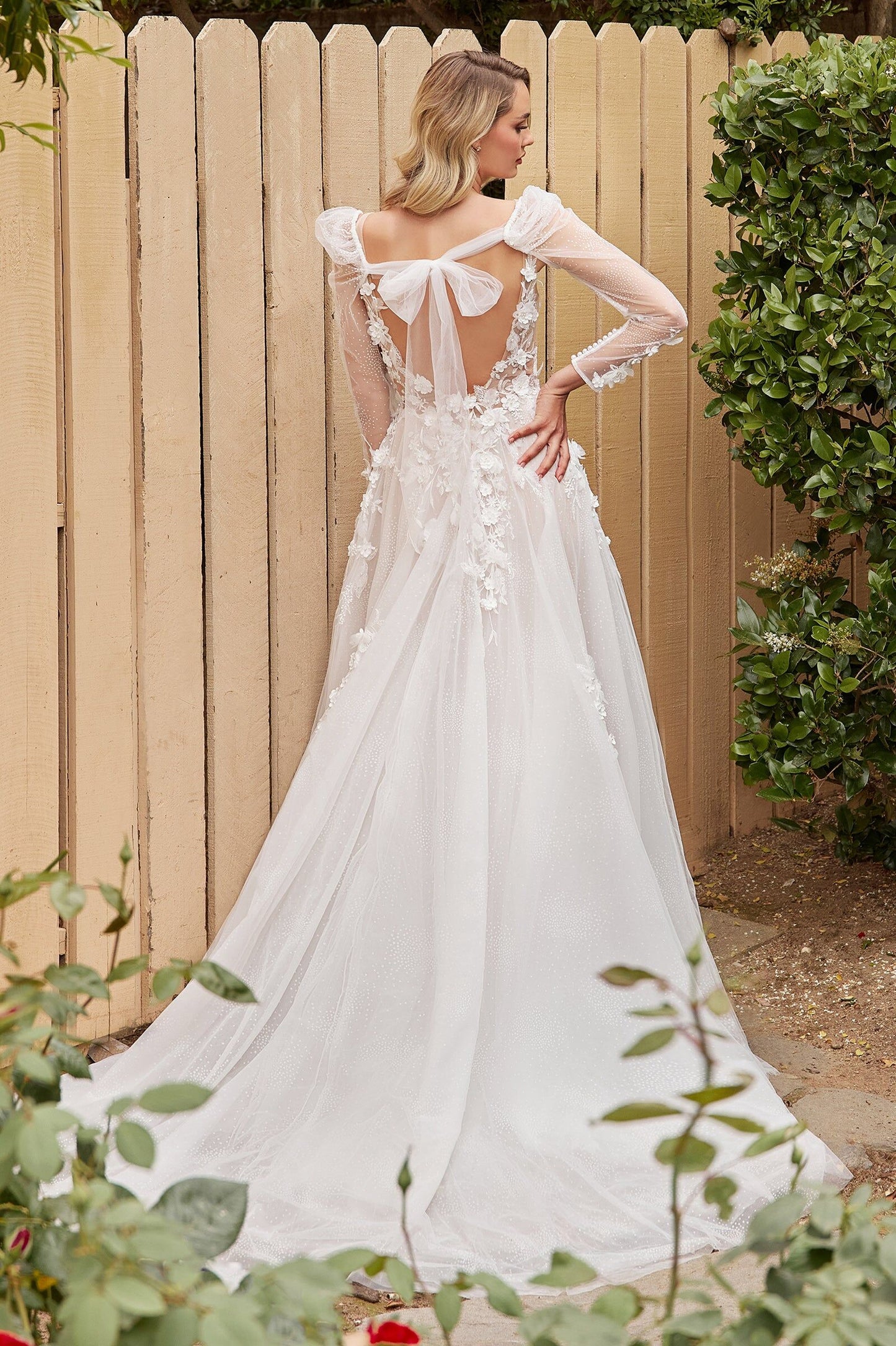 Wedding Dress by Ladivine CDS436W