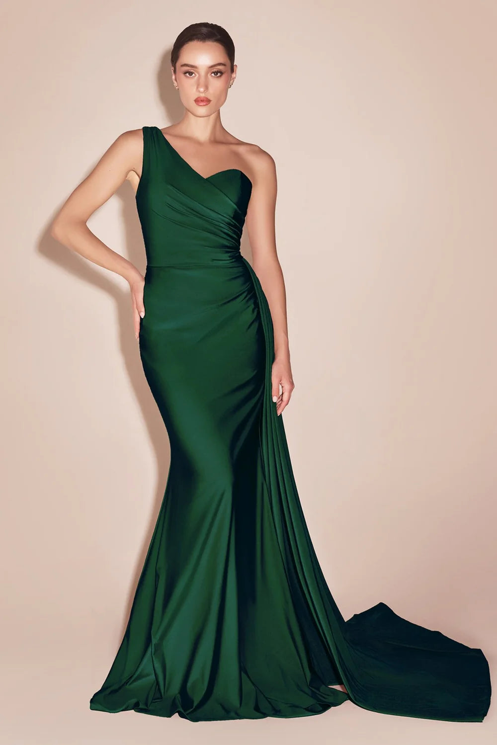 Plus Size Gown by Ladivine PT004C