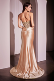 Formal Gown by Ladivine CC0238