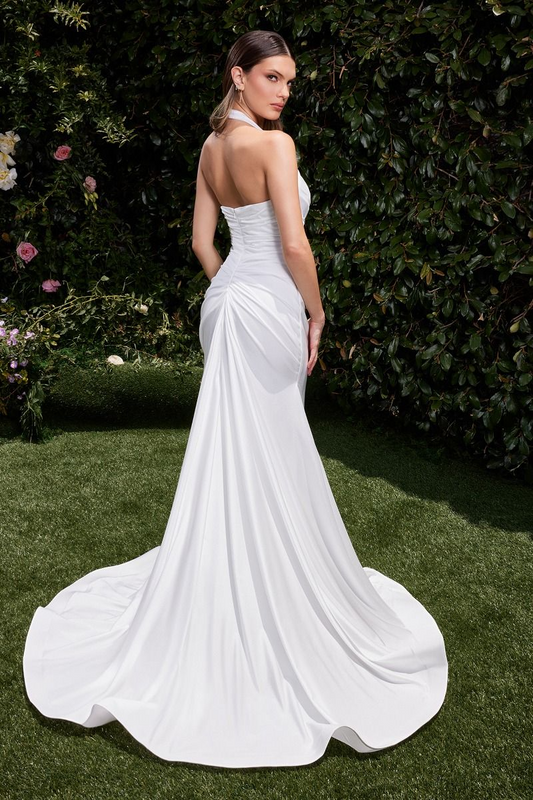 Wedding Dress by Ladivine CD796W