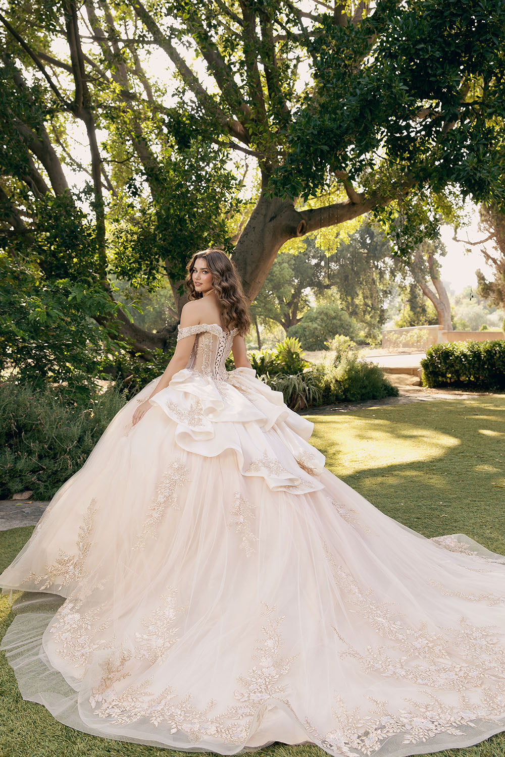 Quinceanera ball gown dress gold embroidery