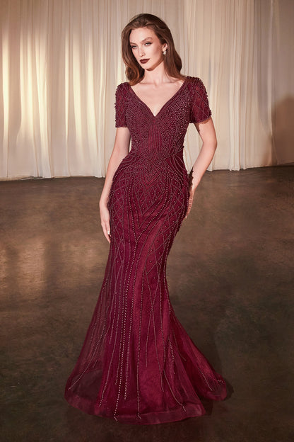 Formal Gown by Ladivine CC4019