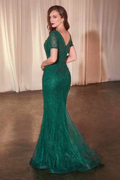 Formal Gown by Ladivine CC4019