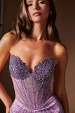 Crystal Embellished Corset Gown by Ladivine J903