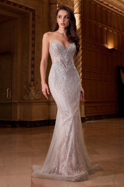 Formal Gown by Ladivine CC416
