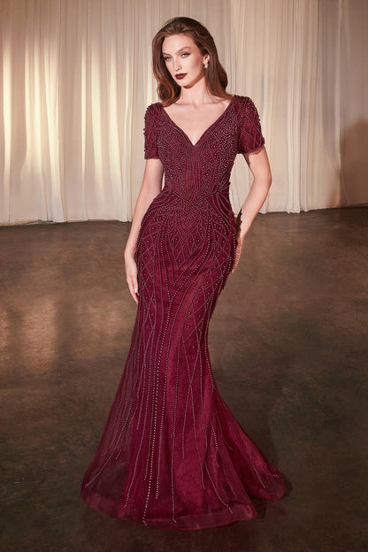 Formal Gown by Ladivine CC4019