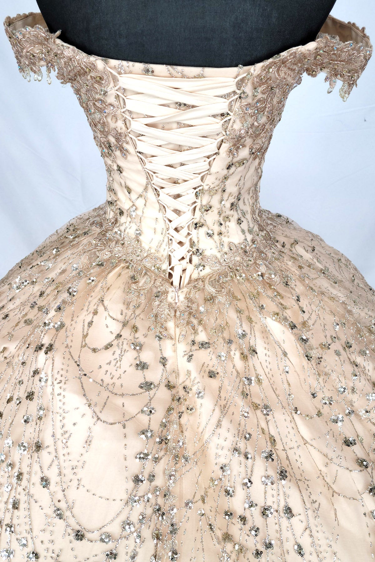 Quinceanera Dress by chic 3011168