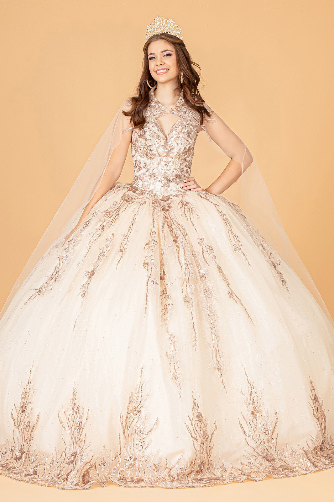 Sequin Glitter Embellished Quinceanera Boll Gown By Elizabeth K  GL 3076