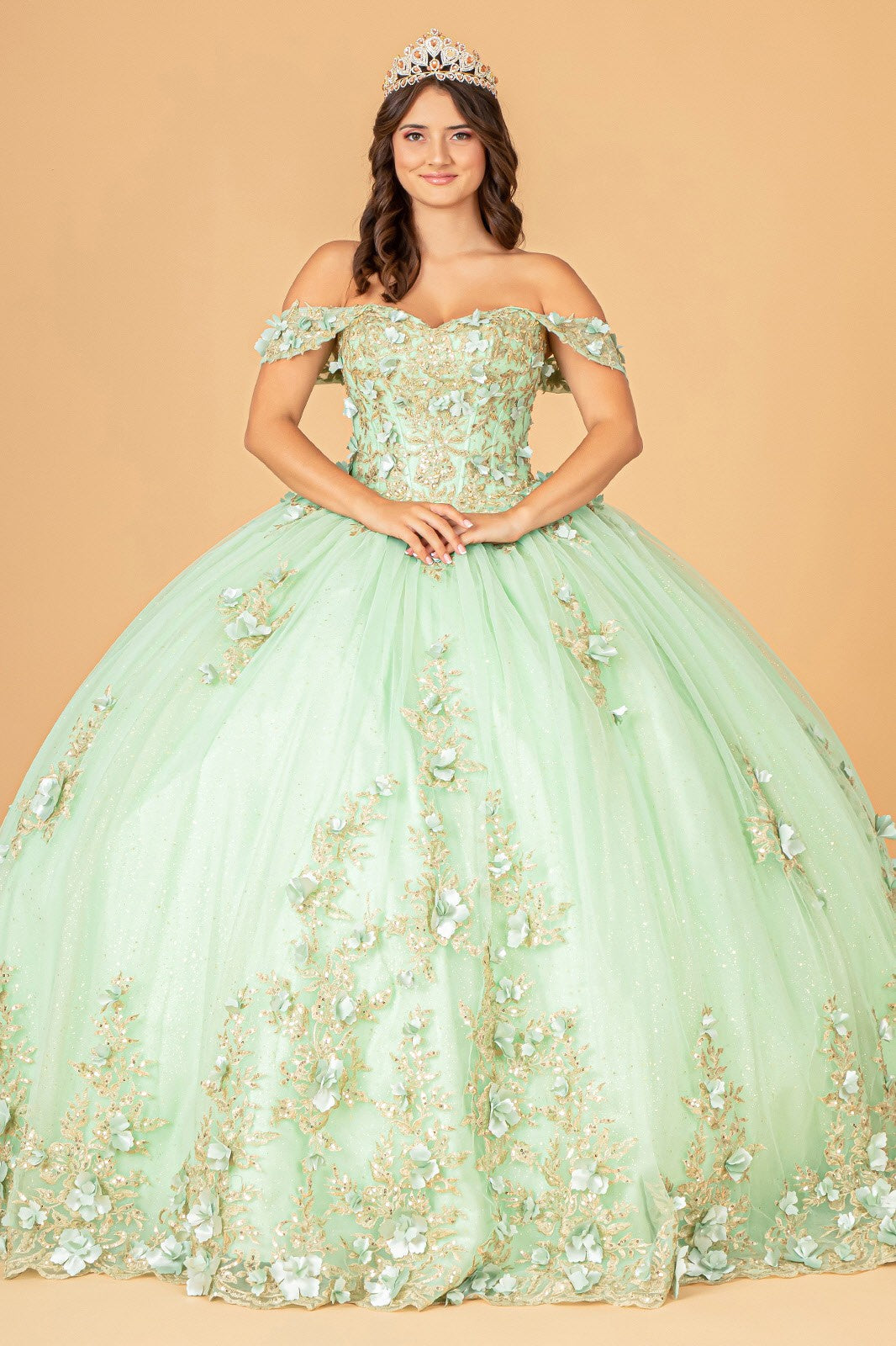 3-D Flower Applique Sweetheart Neckline Mesh Quinceanera Gown by Elizabeth K GL3102