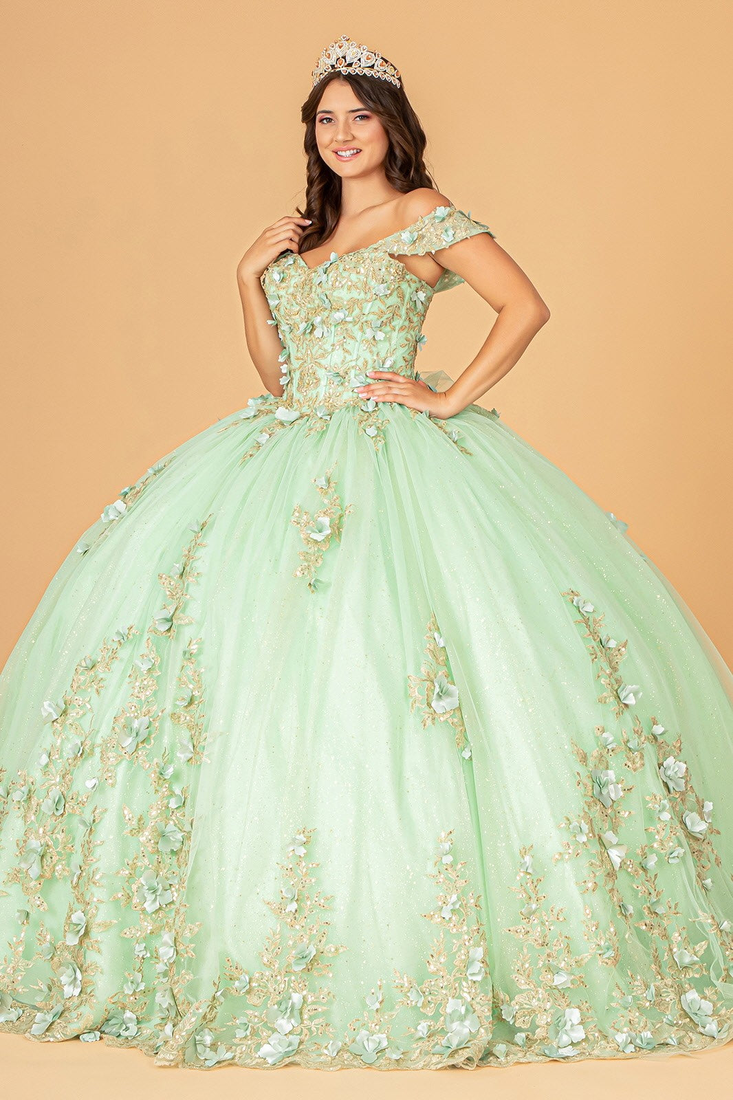 3-D Flower Applique Sweetheart Neckline Mesh Quinceanera Gown by Elizabeth K GL3102