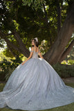 Platinum Sweetheart Quinceañera Gown  by Bella Princess Couture PQ1077