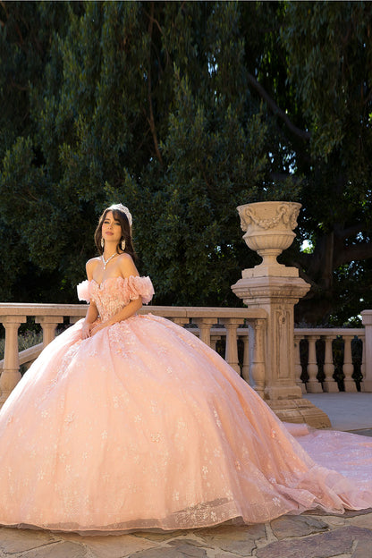 3D Floral Off-Shoulder Quince Gown by Bella Princess Couture PQ1064