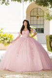Sweetheart 3D Floral Glitter Quince Dress by Bella Princess Couture PQ1026