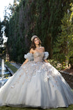 Grey Gold Sparkle Tulle Ball Gown by Bella Princess Couture PQ1078