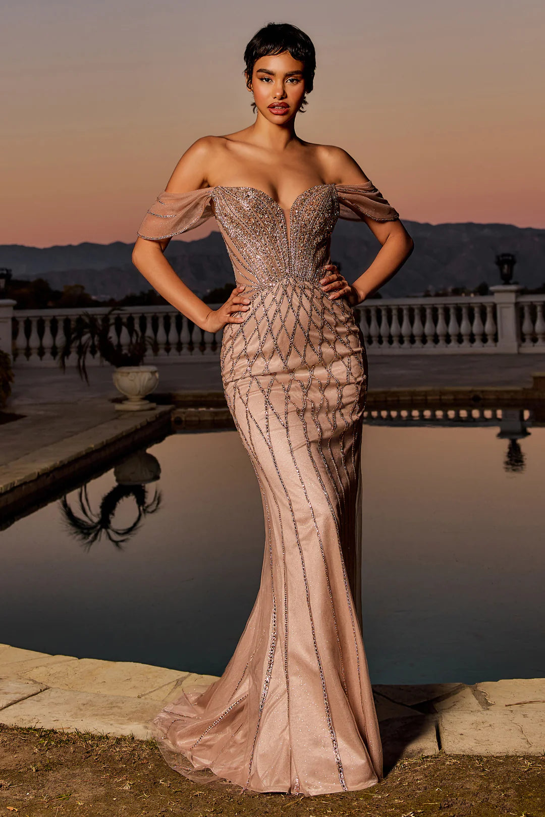 Formal Gown by Ladivine CC477