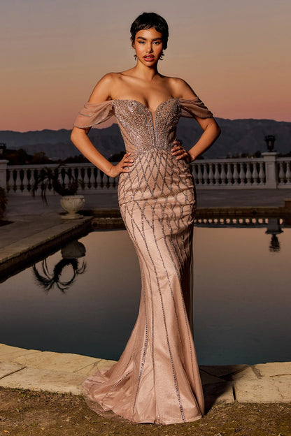 Formal Gown by Ladivine CC477