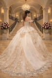 Metallic Embroidered Quinceañera Ball Gown by kavin GL3528304
