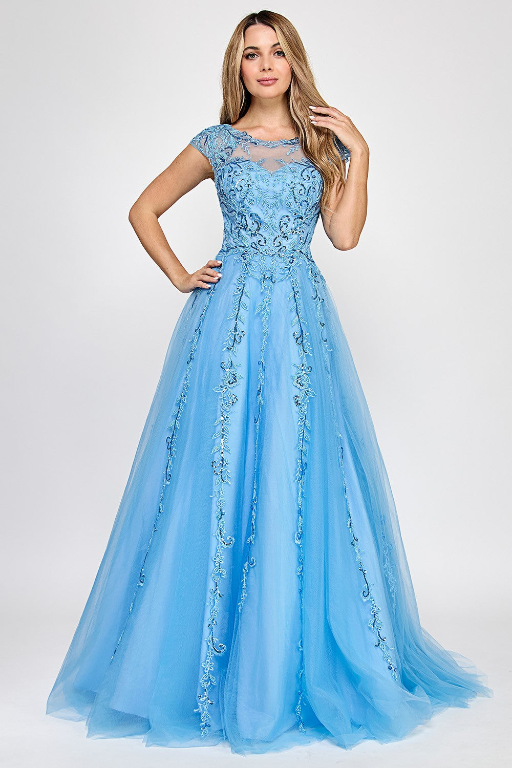 Cap Sleeve Layered Mesh Long Dress by SNK DRESS 834917