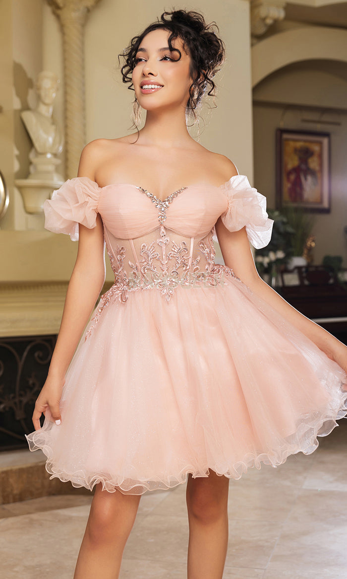 Formal dress in Blush, Champagne, Lilac, Red, Sage, White by Royal Collection style MQ2164 | www.snkdress.com