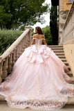 Quinceanera ball gown dress gold embroidery
