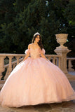 3D Floral Off-Shoulder Quince Gown by Bella Princess Couture PQ1064