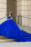 Off shoulder Quince by Bella Princess Couture PQ1028