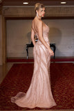 Evening Dress by Ladivine CC0688