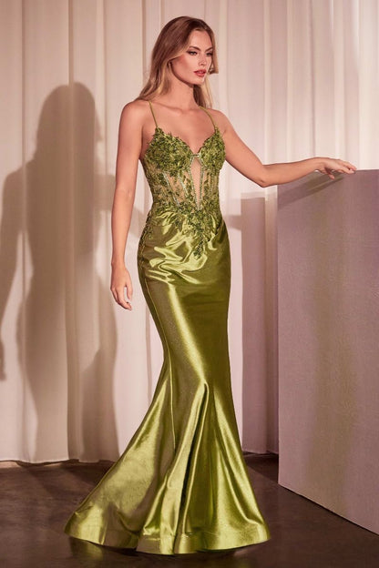 Formal Gown by Ladivine CC2401
